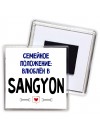 семейной пололжение - влюблен в Ssangyong