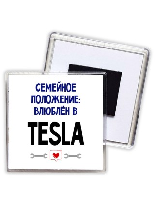 семейной пололжение - влюблен в Tesla