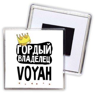 Гордый владелец Voyah