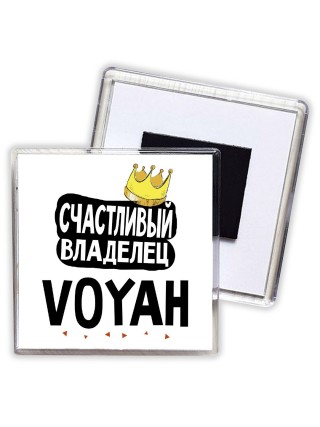 Счастливый владелец Voyah