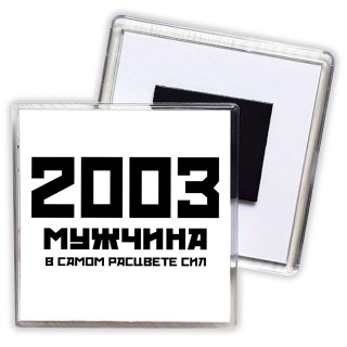 2003 мужчина в самом расцвете сил