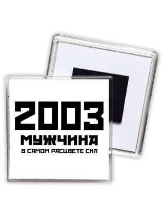 2003 мужчина в самом расцвете сил