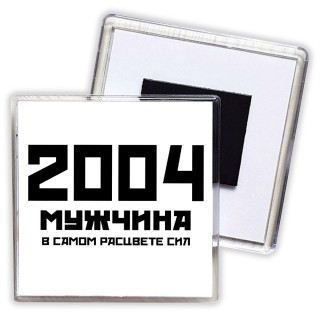 2004 мужчина в самом расцвете сил