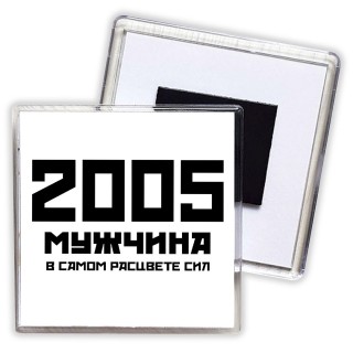 2005 мужчина в самом расцвете сил