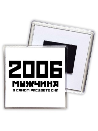2006 мужчина в самом расцвете сил
