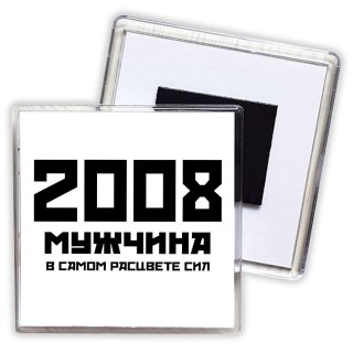 2008 мужчина в самом расцвете сил