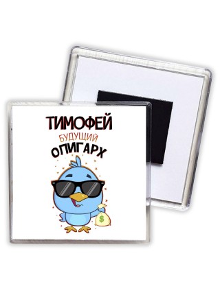 Тимофей будущий олигарх