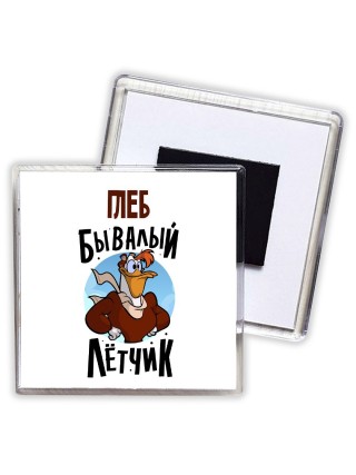 Глеб бывалый лётчик
