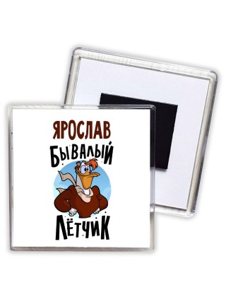 Ярослав бывалый лётчик