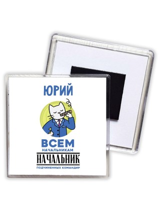 Юрий всем начальникам начальник подчиненных командир
