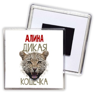 Алина дикая кошечка