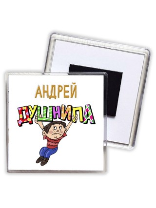 Андрей душнила