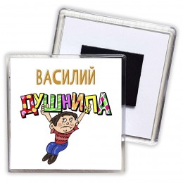 Василий душнила