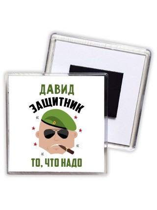 Давид защитник то, что надо