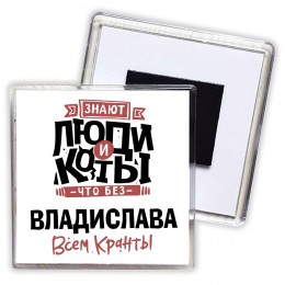 Знают люди и коты, что без Владислава всем кранты