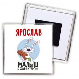 Ярослав малыш с характером