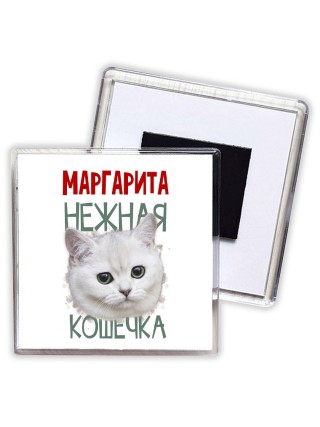 Маргарита нежная кошечка