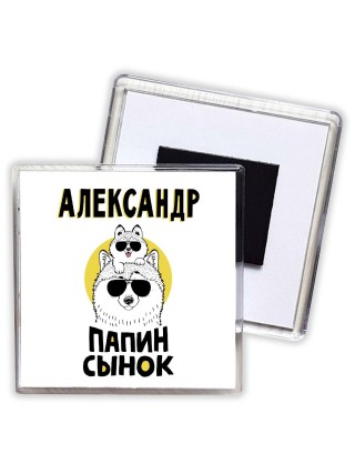 Александр папин сынок