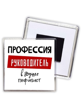 Мужские_Профессия РУКОВОДИТЕЛЬ в душе пофигист