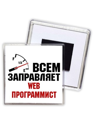 Всем заправляет web программист