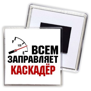 Всем заправляет каскадёр