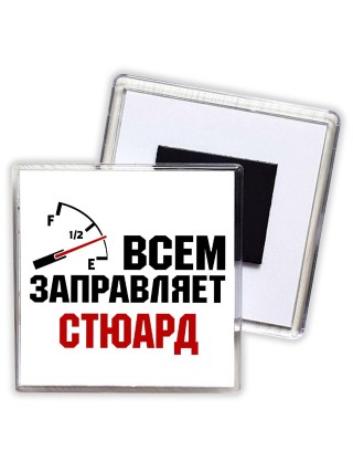 Всем заправляет стюард