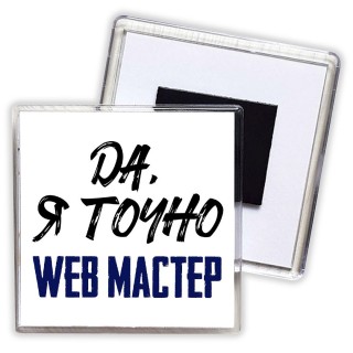 Да, я точно web мастер