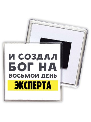 И создал бог на восьмой день эксперта