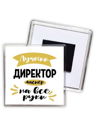 Лучший директор мастер на все руки