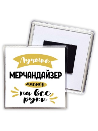 Лучший мерчандайзер мастер на все руки