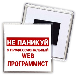 Не паникуй я профессиональный web программист