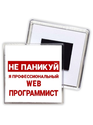Не паникуй я профессиональный web программист