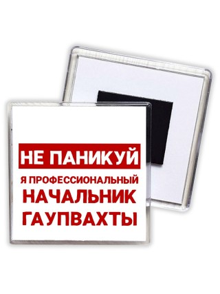 Не паникуй я профессиональный начальник гаупвахты
