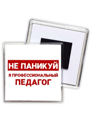 Не паникуй я профессиональный педагог