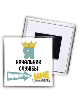 Я начальник службы подчиняйтесь мне