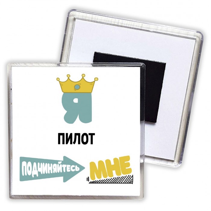 Я пилот подчиняйтесь мне