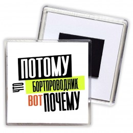 потому что бортпроводник вот почему