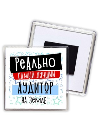 реально самый лучший аудитор на земле