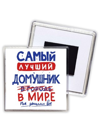 Самый лучший ДОМУШНИК в мире - так решили все