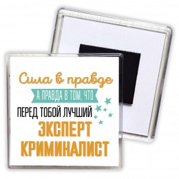 Сила в правде а правда в том, что перед тобой лучший эксперт криминалист