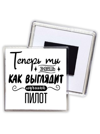 Теперь ты знаешь как выглядит лучший пилот