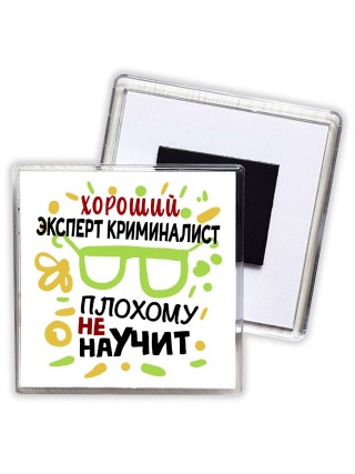 Хороший ЭКСПЕРТ КРИМИНАЛИСТ плохому не научит