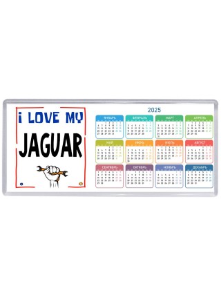 I love my Jaguar