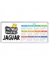 Счастливый владелец Jaguar