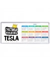 Счастливый владелец Tesla