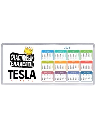 Счастливый владелец Tesla