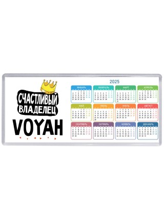 Счастливый владелец Voyah