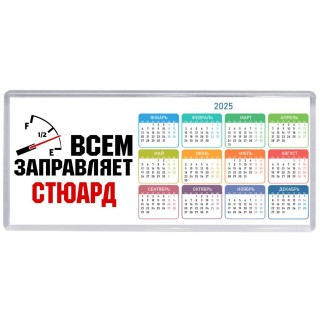 Всем заправляет стюард