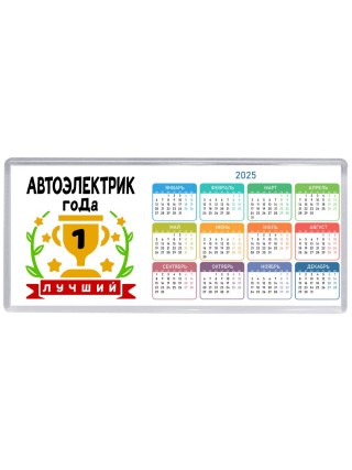 Лучший АВТОЭЛЕКТРИК года