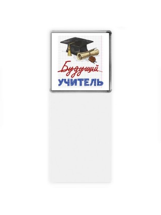 будущий учитель
